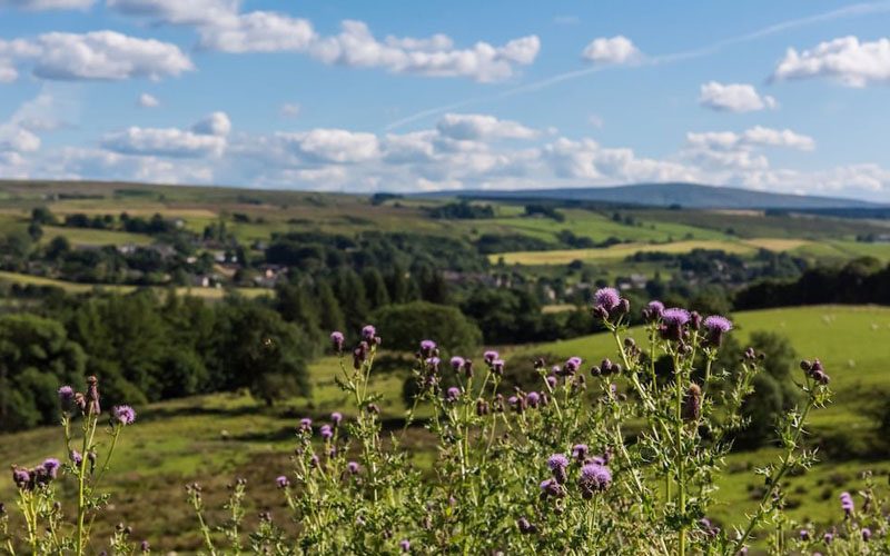 Gilsland Hall Interview Transforming a forgotten hotel